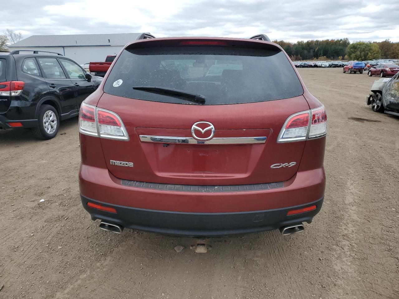 2007 Mazda Cx-9 VIN: JM3TB28Y470113657 Lot: 79166774