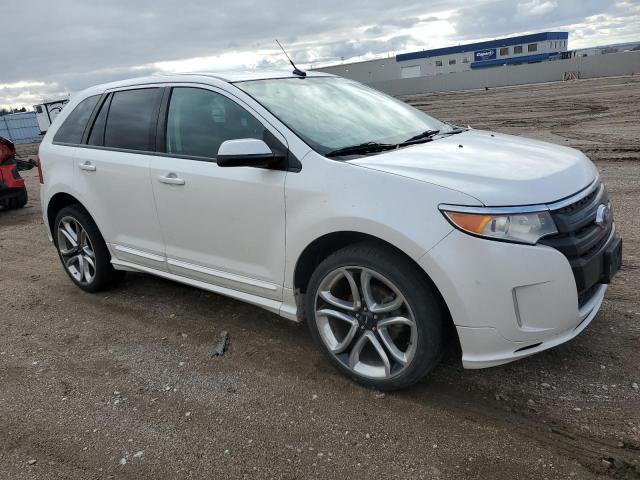  FORD EDGE 2014 Белы