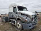 2017 Freightliner Cascadia 113  for Sale in Portland, MI - Rollover