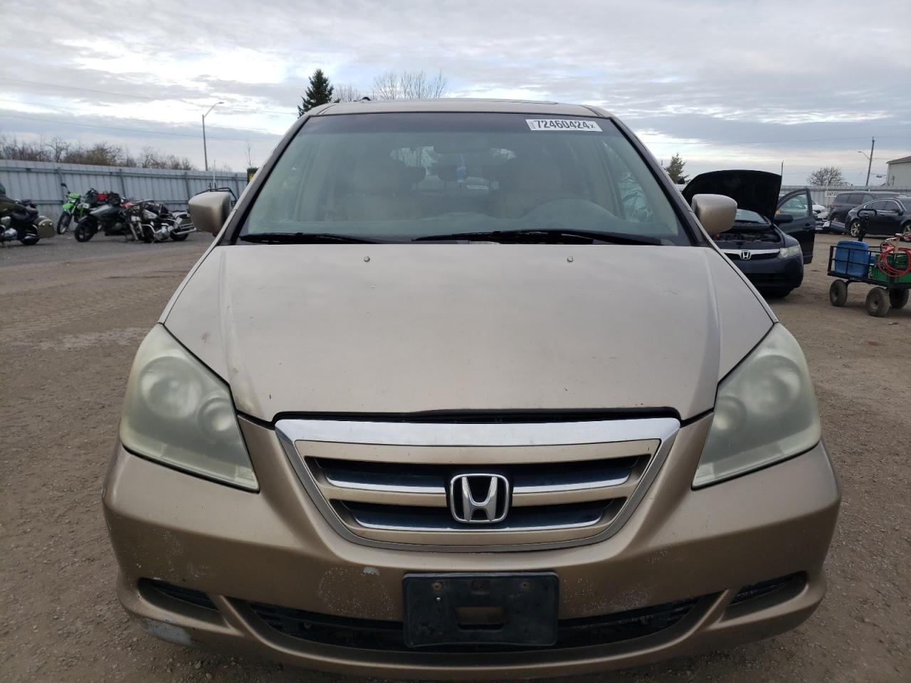 2005 Honda Odyssey Exl VIN: 5FNRL38635B508142 Lot: 72460424