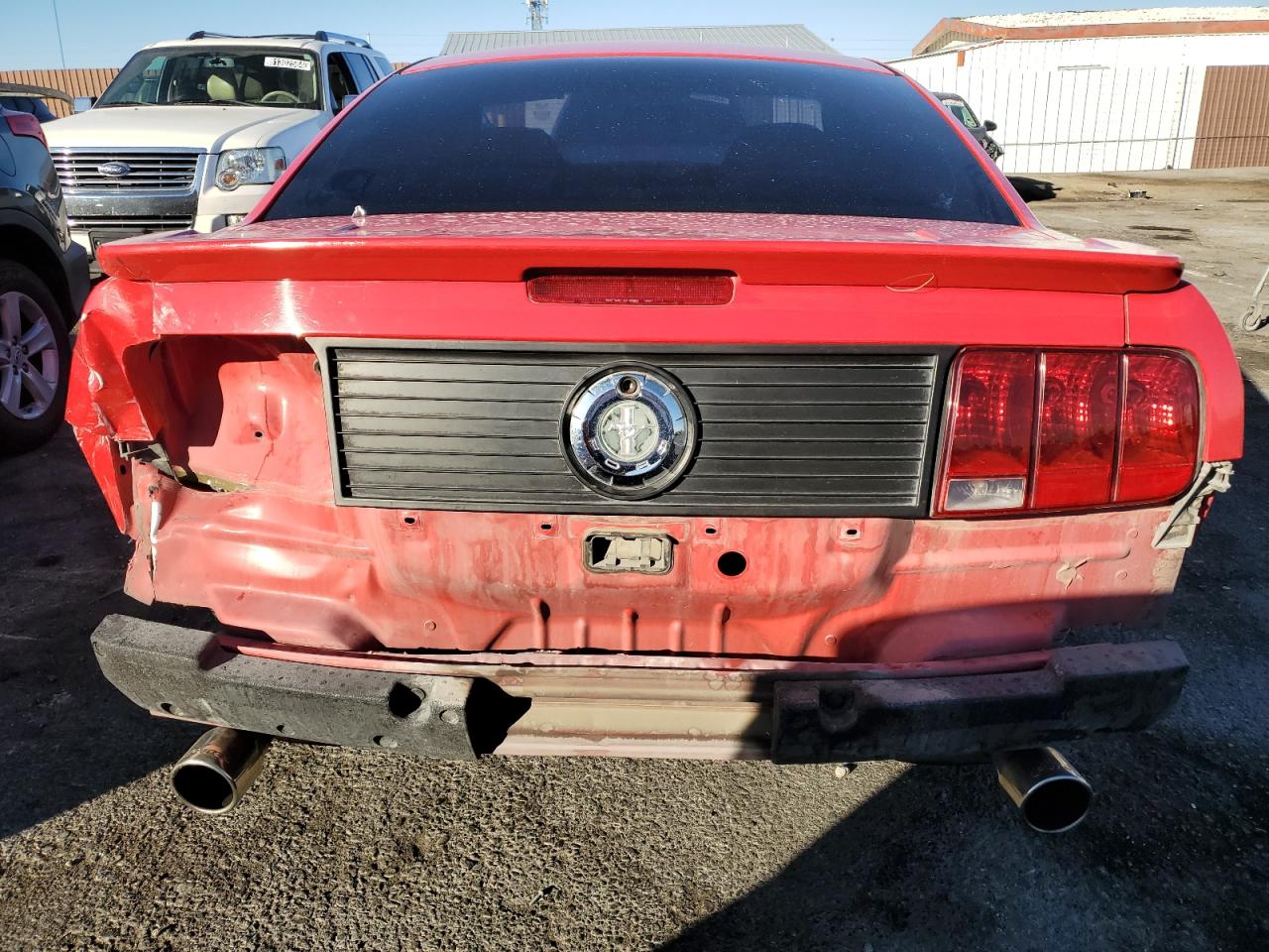 2009 Ford Mustang VIN: 1ZVHT80N295102238 Lot: 80951334