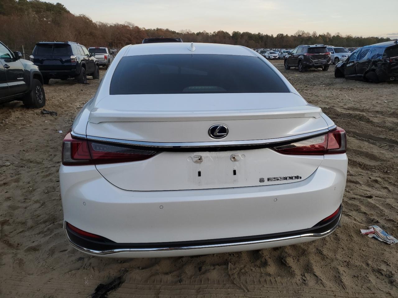 2019 Lexus Es 300H VIN: JTHB21B1XK2015240 Lot: 80351374