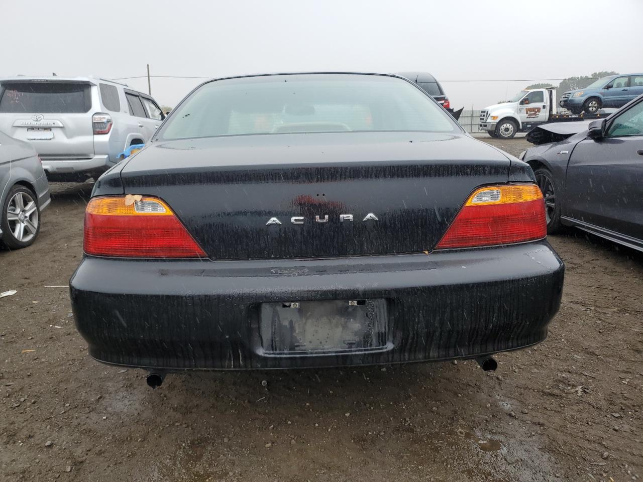 1999 Acura 3.2Tl VIN: 19UUA5641XA020253 Lot: 80137404