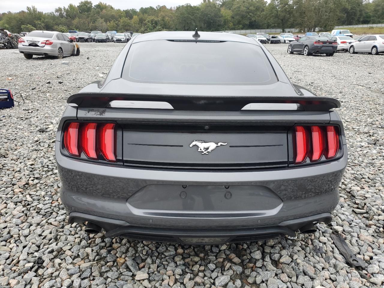 2021 Ford Mustang VIN: 1FA6P8TH9M5107083 Lot: 79635504