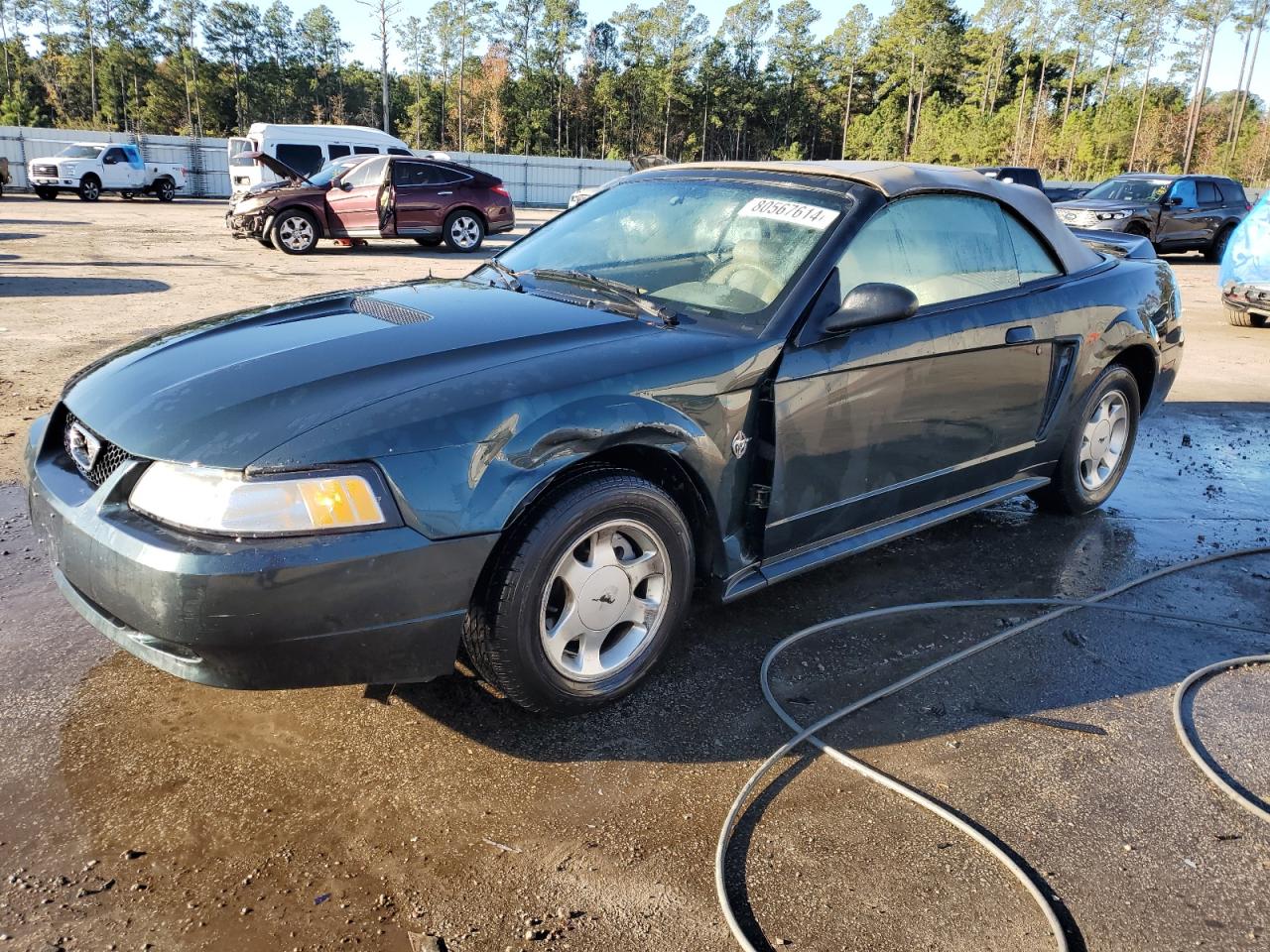 1999 Ford Mustang - Image 1