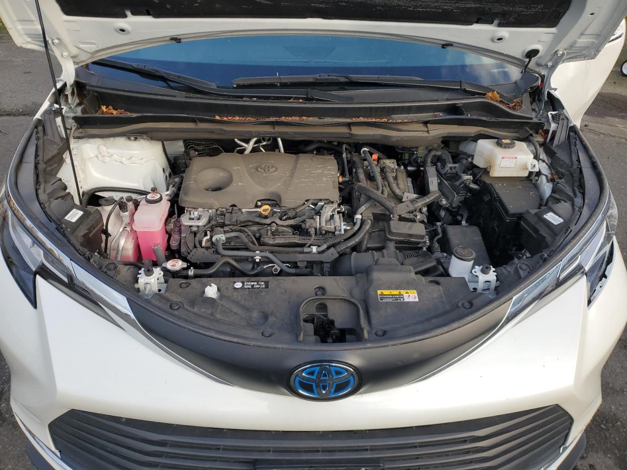 2021 Toyota Sienna - Image 12