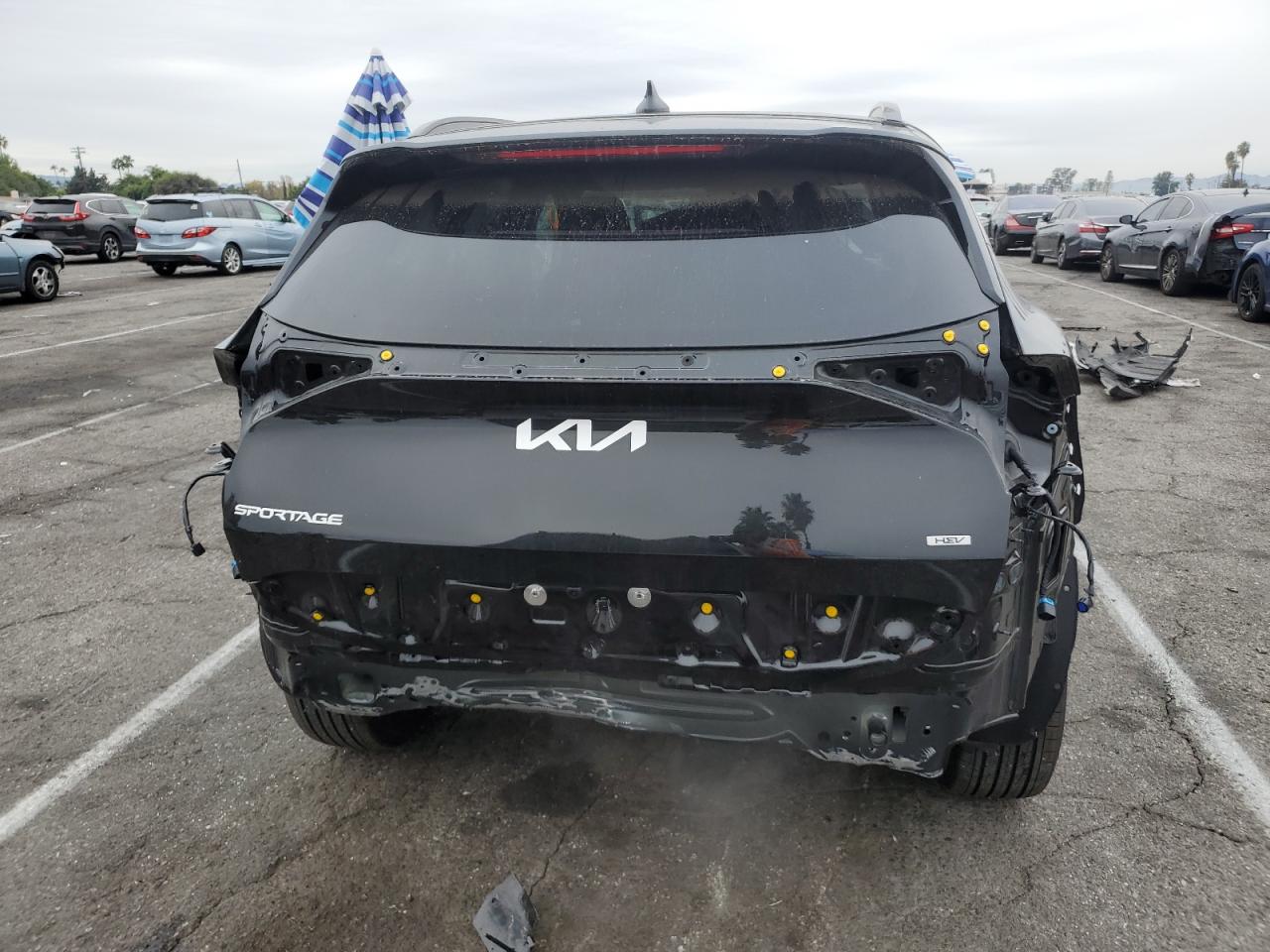 VIN KNDPVCDG6R7170778 2024 KIA SPORTAGE no.6