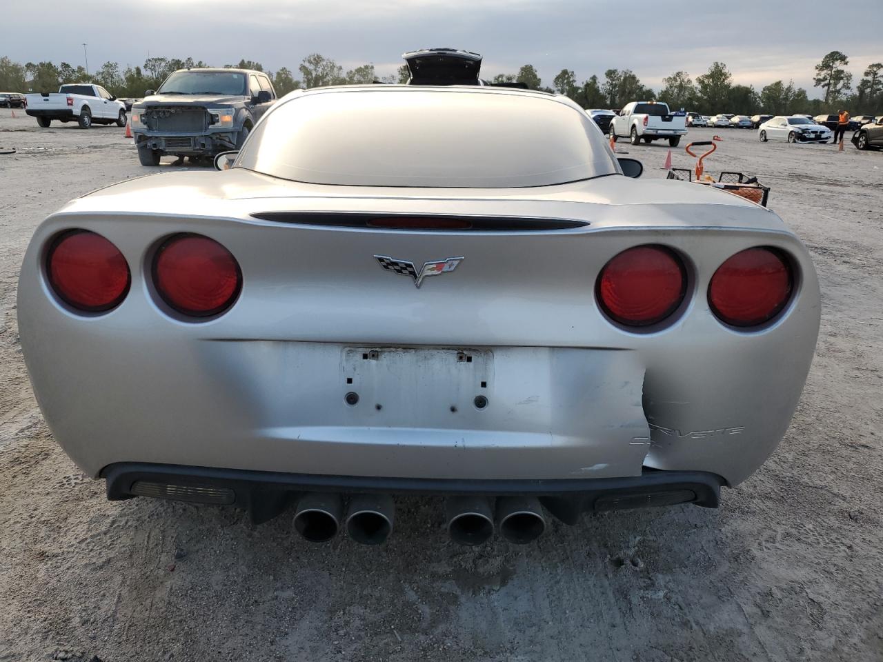 2005 Chevrolet Corvette VIN: 1G1YY24U955118376 Lot: 79534444