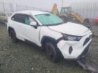 2021 TOYOTA RAV4 LE for sale at Copart NS - HALIFAX