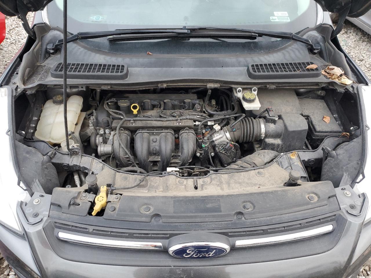 2016 Ford Escape - Image 12