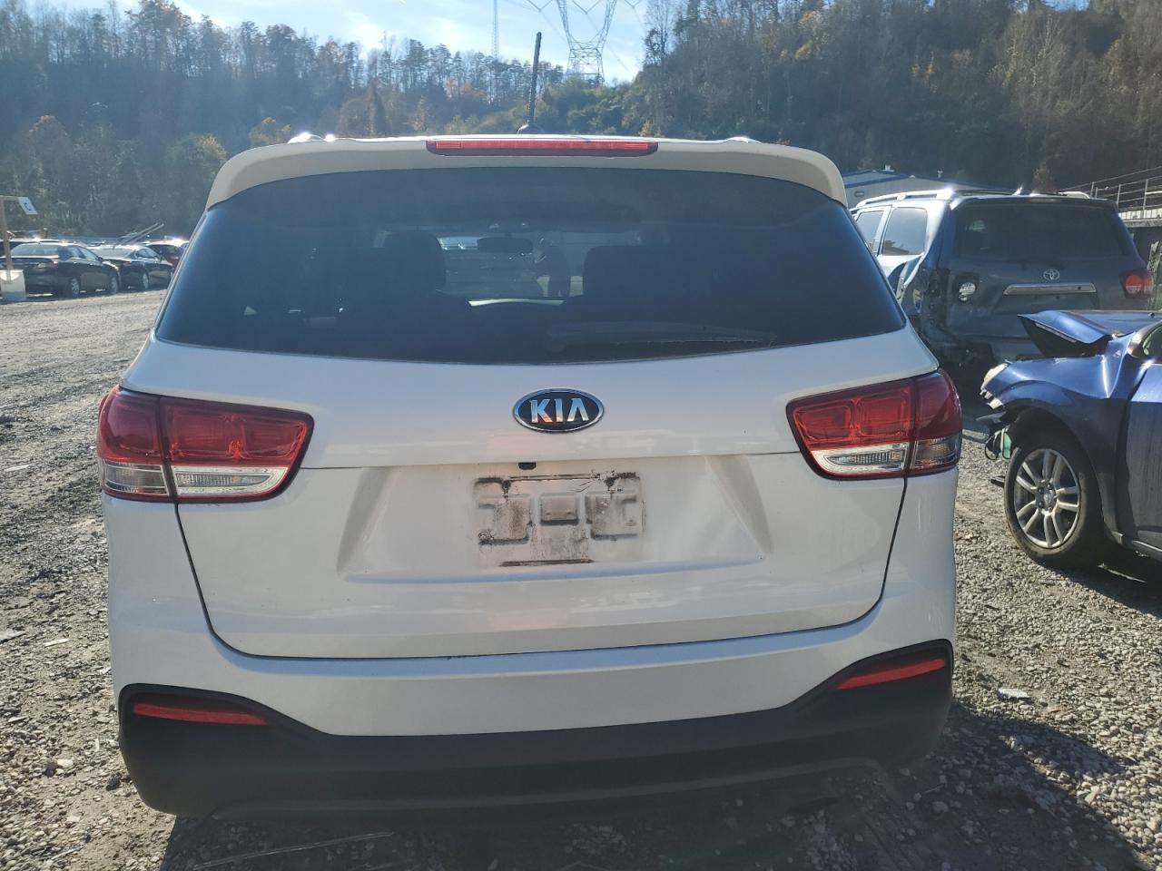 2017 Kia Sorento Lx VIN: 5XYPGDA58HG335735 Lot: 80002304