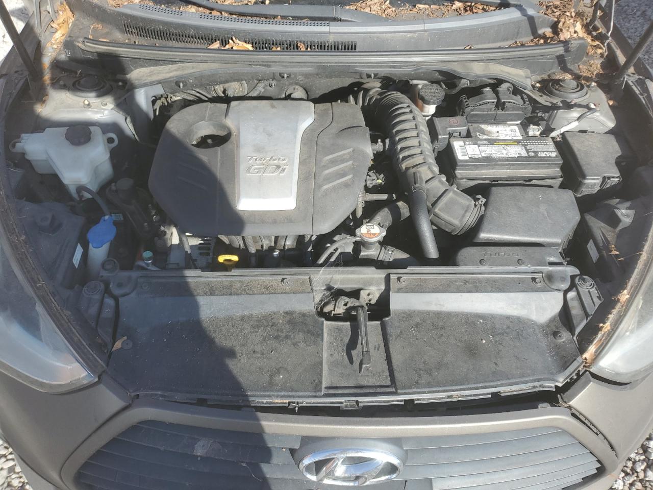 2013 Hyundai Veloster Turbo VIN: KMHTC6AE6DU173145 Lot: 77995614