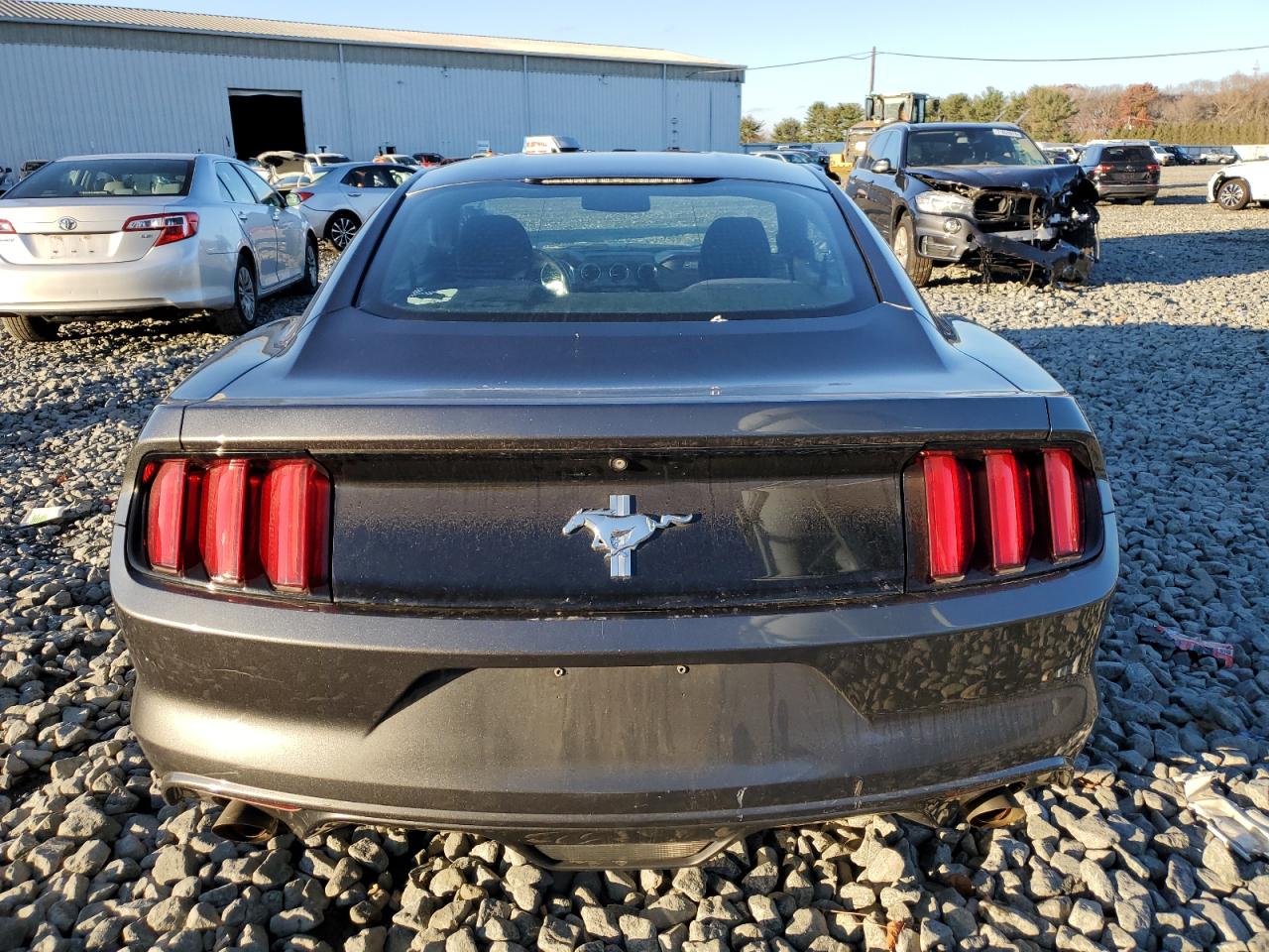 2015 Ford Mustang VIN: 1FA6P8AM4F5427110 Lot: 80428874