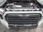 2024 Toyota Tundra Crewmax Platinum на продаже в Elmsdale, NS - Minor Dent/Scratches