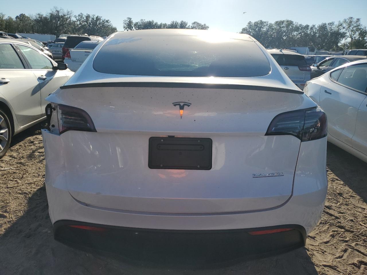 2024 Tesla Model Y VIN: 7SAYGDEF2RA323645 Lot: 82406204