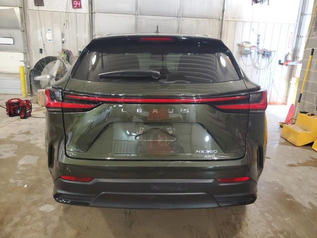  LEXUS NX 350 2023 Зеленый