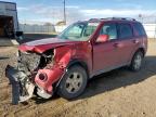 2012 Ford Escape Limited продається в Bismarck, ND - Front End