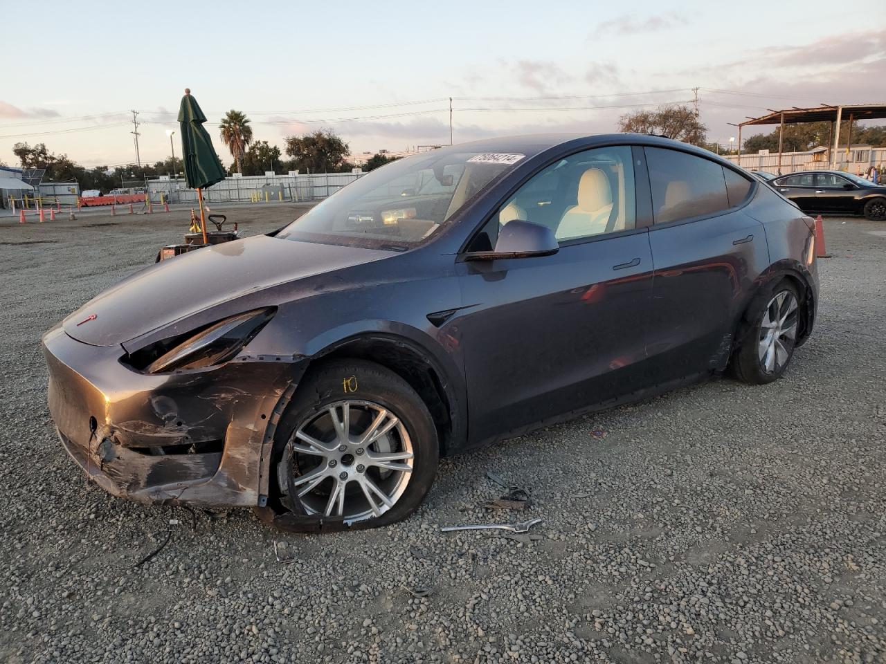 VIN 5YJYGDEE6LF053592 2020 TESLA MODEL Y no.1