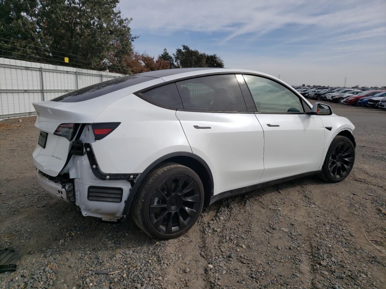 VIN 7SAYGDEE6PA122447 2023 TESLA MODEL Y no.3