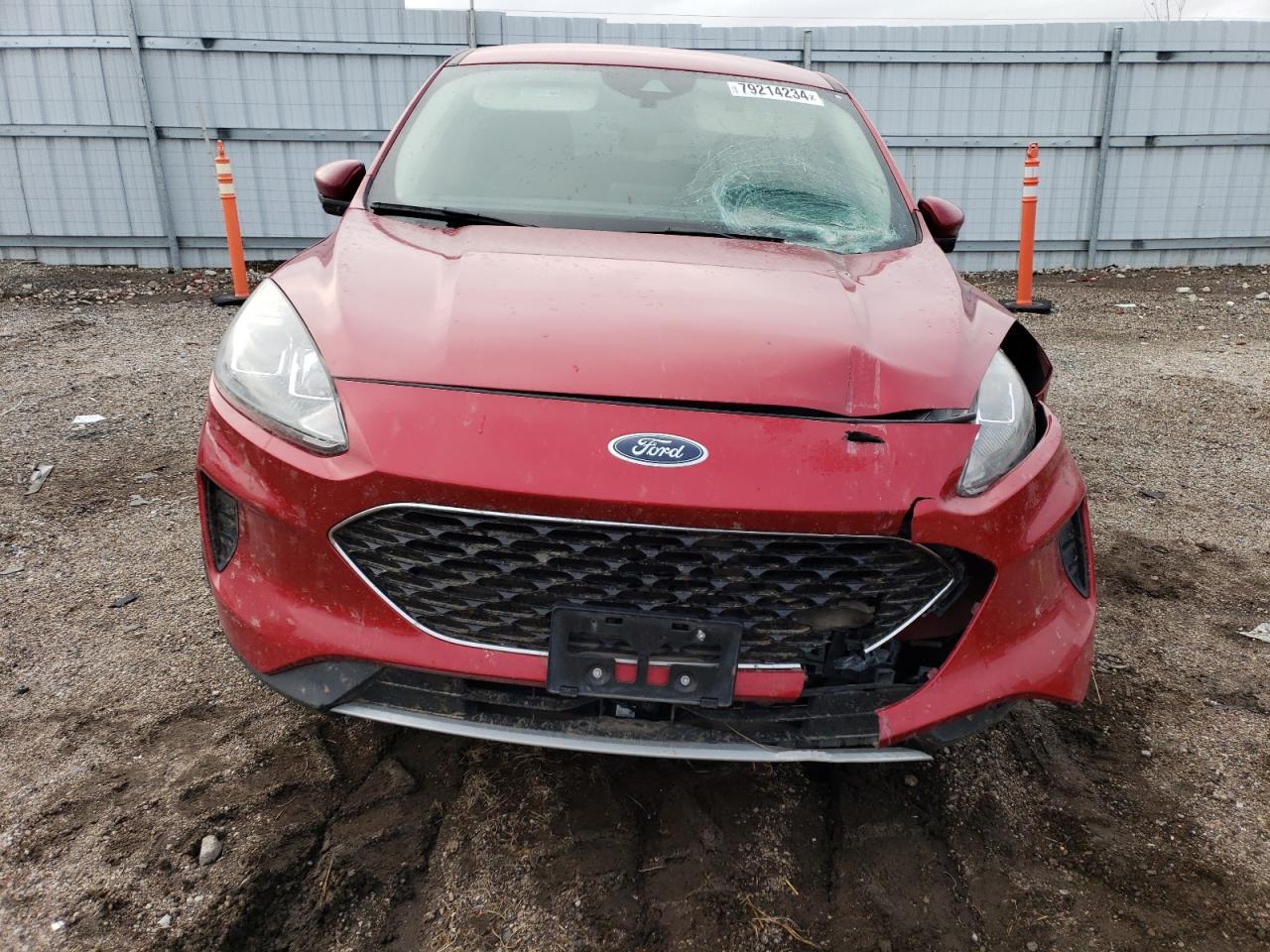 2020 Ford Escape - Image 5