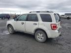 2009 Ford Escape Xlt en Venta en Airway Heights, WA - Front End