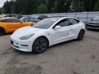 Arlington, WA에서 판매 중인 2019 Tesla Model 3  - Rear End