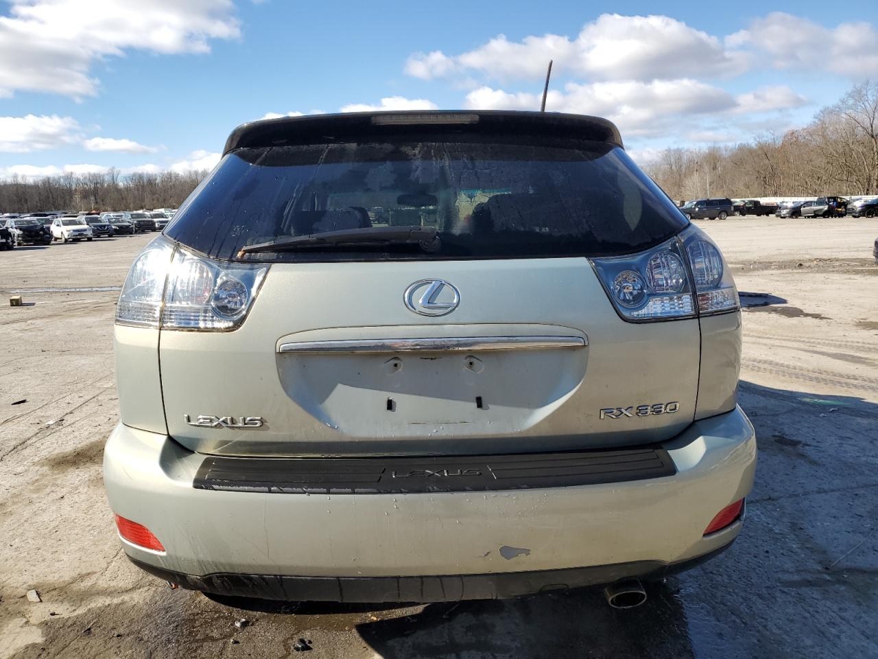 2004 Lexus Rx 330 VIN: JTJHA31U140060911 Lot: 80043044