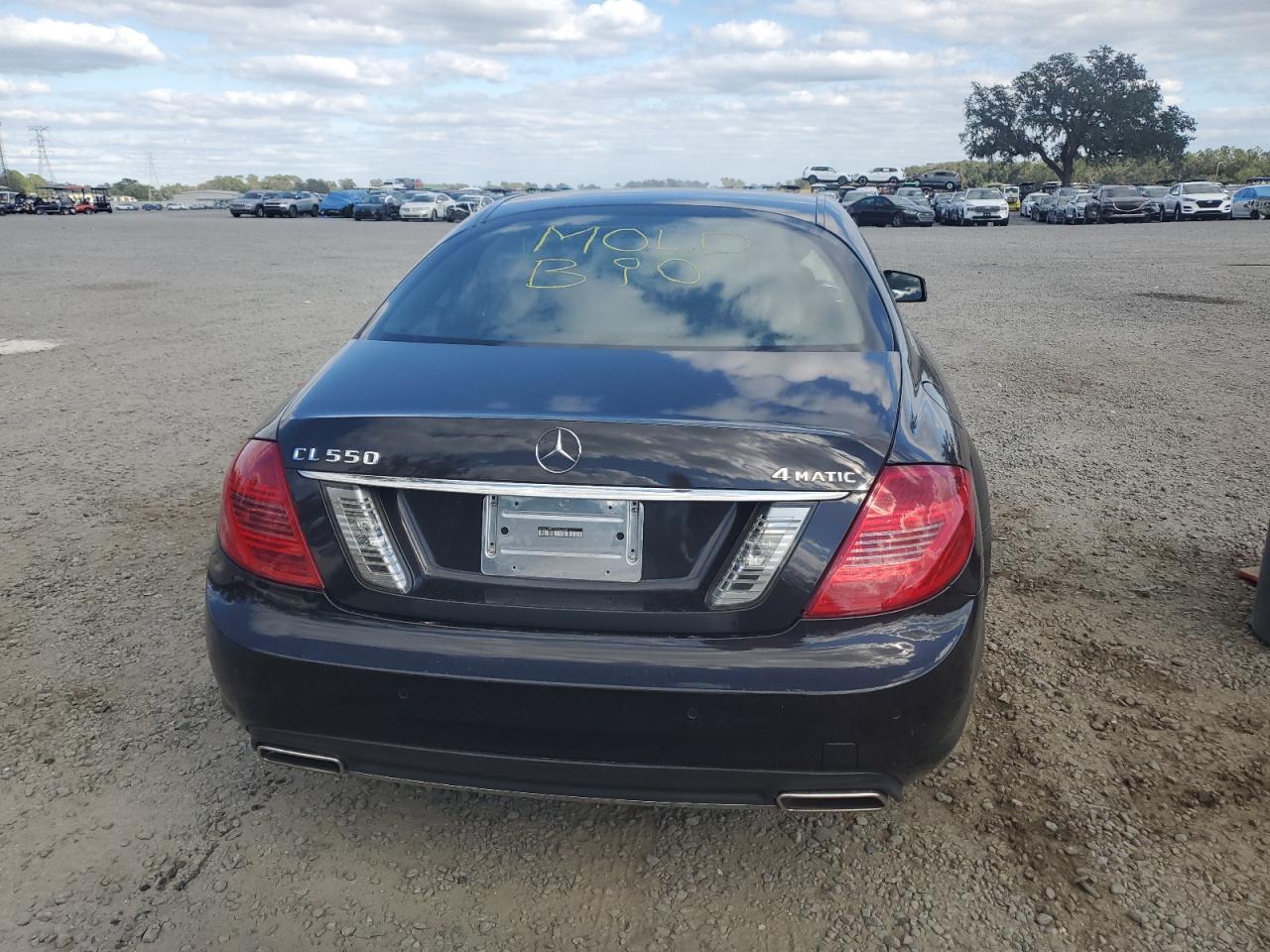 2013 Mercedes-Benz Cl 550 4Matic VIN: WDDEJ9EB1DA030809 Lot: 81248614