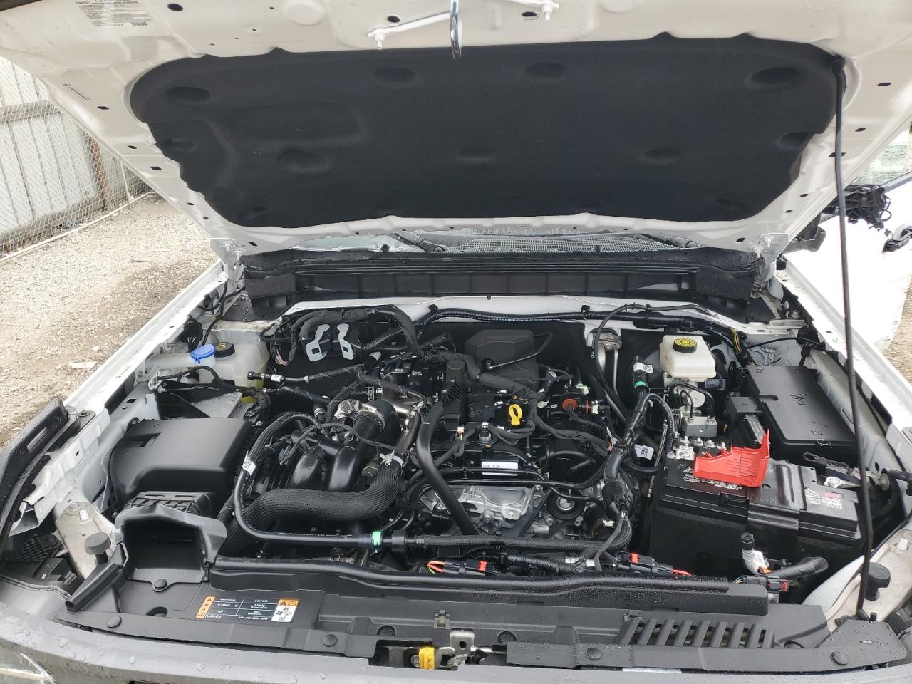 2024 Ford Bronco Big Bend VIN: 1FMDE7BH6RLA14247 Lot: 81363984