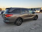 2021 Honda Odyssey Ex продається в Haslet, TX - Rear End