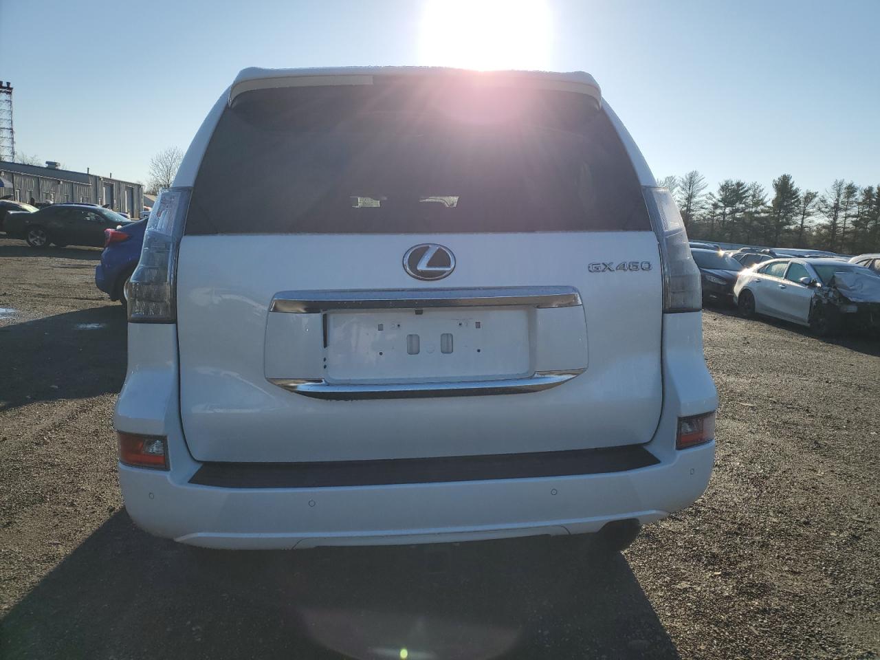 2021 Lexus Gx 460 Premium VIN: JTJAM7BX3M5299775 Lot: 81131124