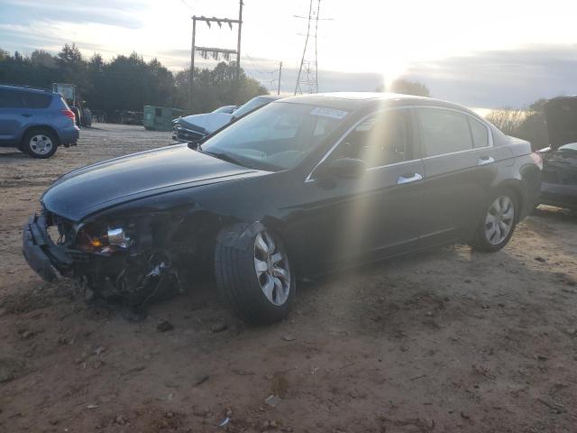 2010 Honda Accord Exl en Venta en China Grove, NC - Front End