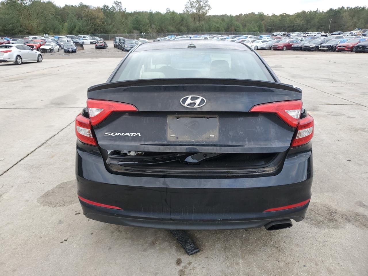 2015 Hyundai Sonata Se VIN: 5NPE24AF2FH100817 Lot: 79064354