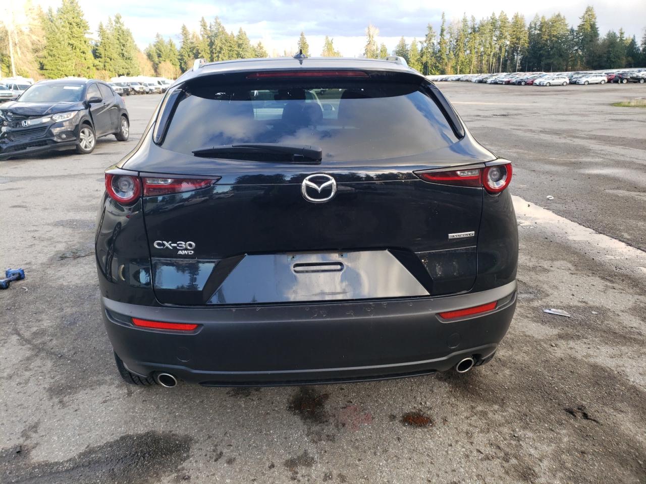 2020 Mazda Cx-30 Premium VIN: 3MVDMBEM5LM127954 Lot: 81166604