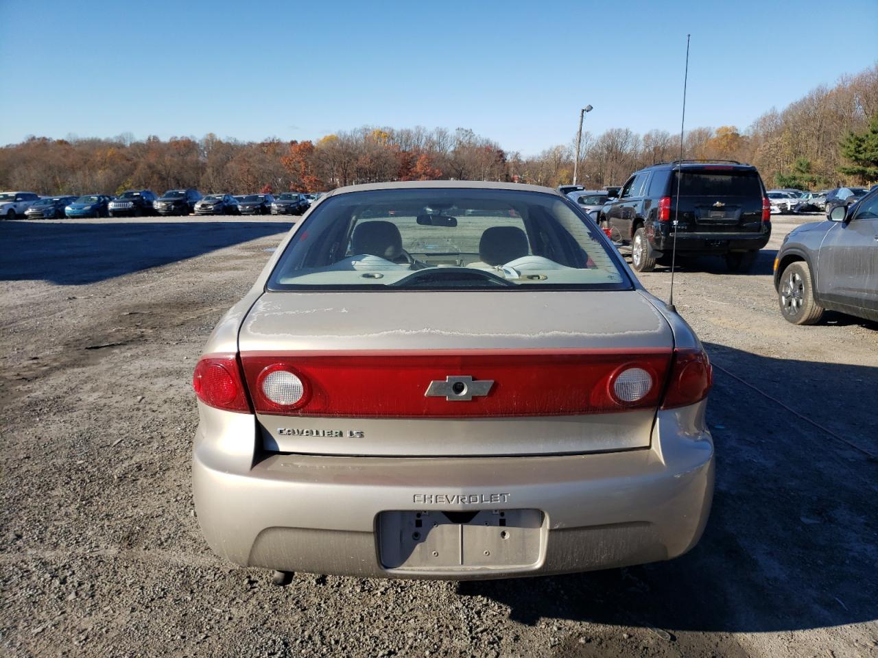 2004 Chevrolet Cavalier Ls VIN: 1G1JF52F247169301 Lot: 79412684