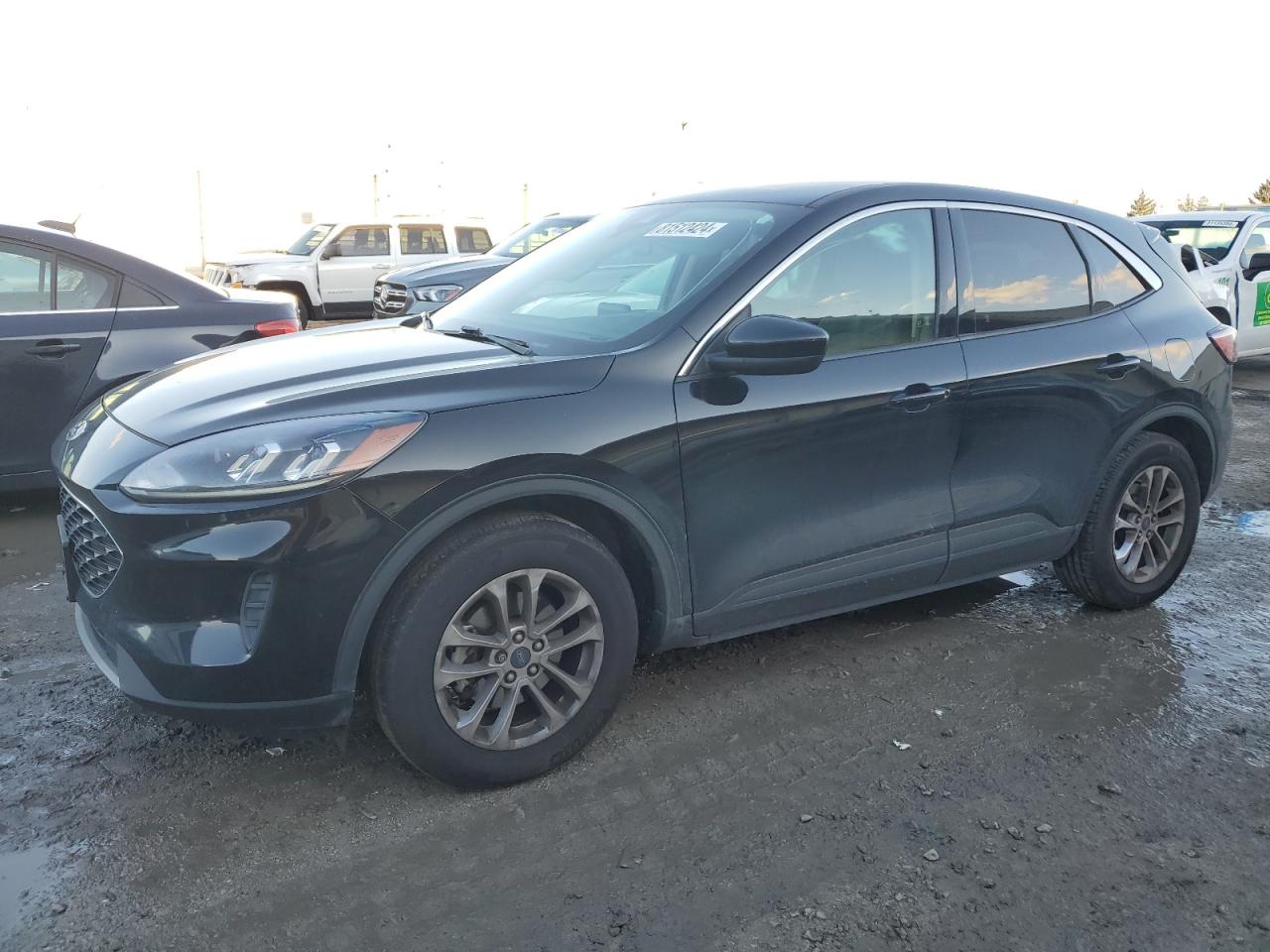 2020 Ford Escape - Image 1