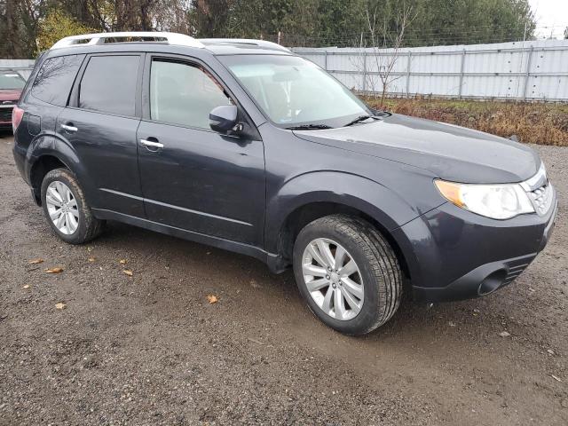 Паркетники SUBARU FORESTER 2012 Серый