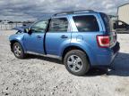 2009 Ford Escape Xlt na sprzedaż w Lawrenceburg, KY - Front End