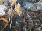 2006 Gmc Yukon  за продажба в Sacramento, CA - Burn