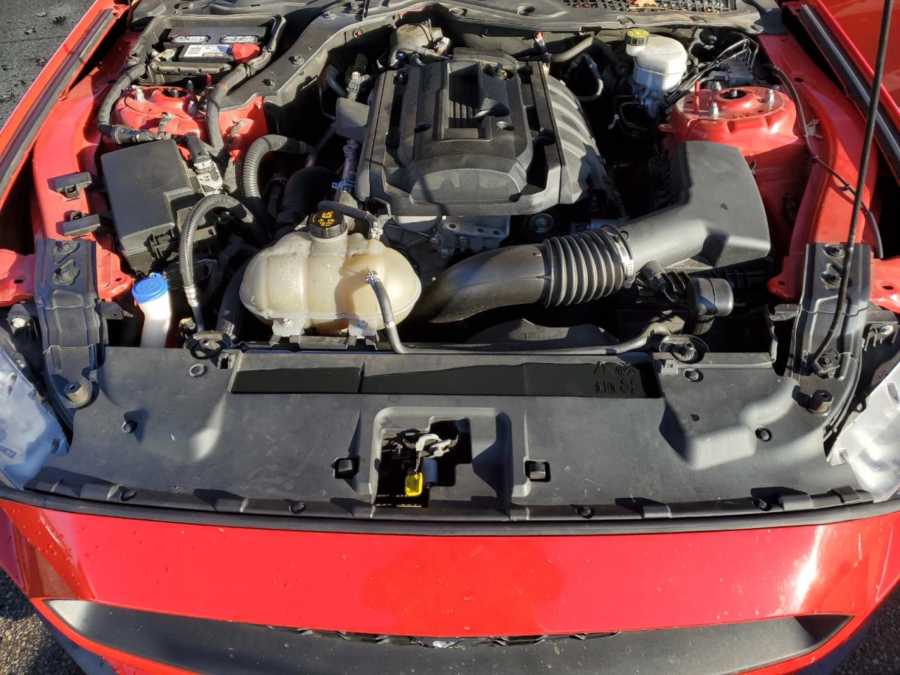 2020 Ford Mustang VIN: 1FA6P8TH4L5138711 Lot: 80084344