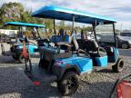 2024 Bint Golfcart de vânzare în Riverview, FL - Water/Flood
