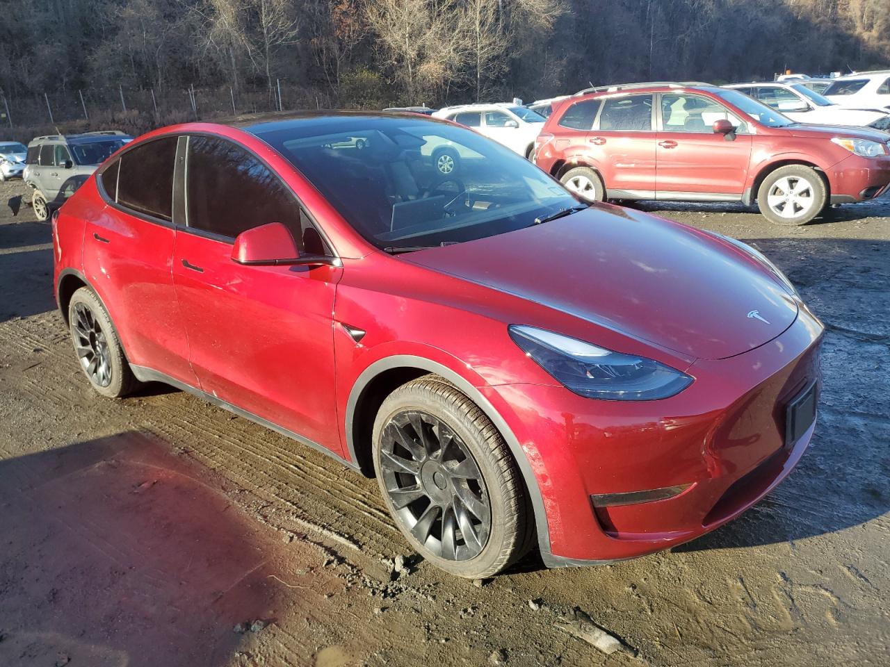 VIN 7SAYGDEE1RA230994 2024 TESLA MODEL Y no.4