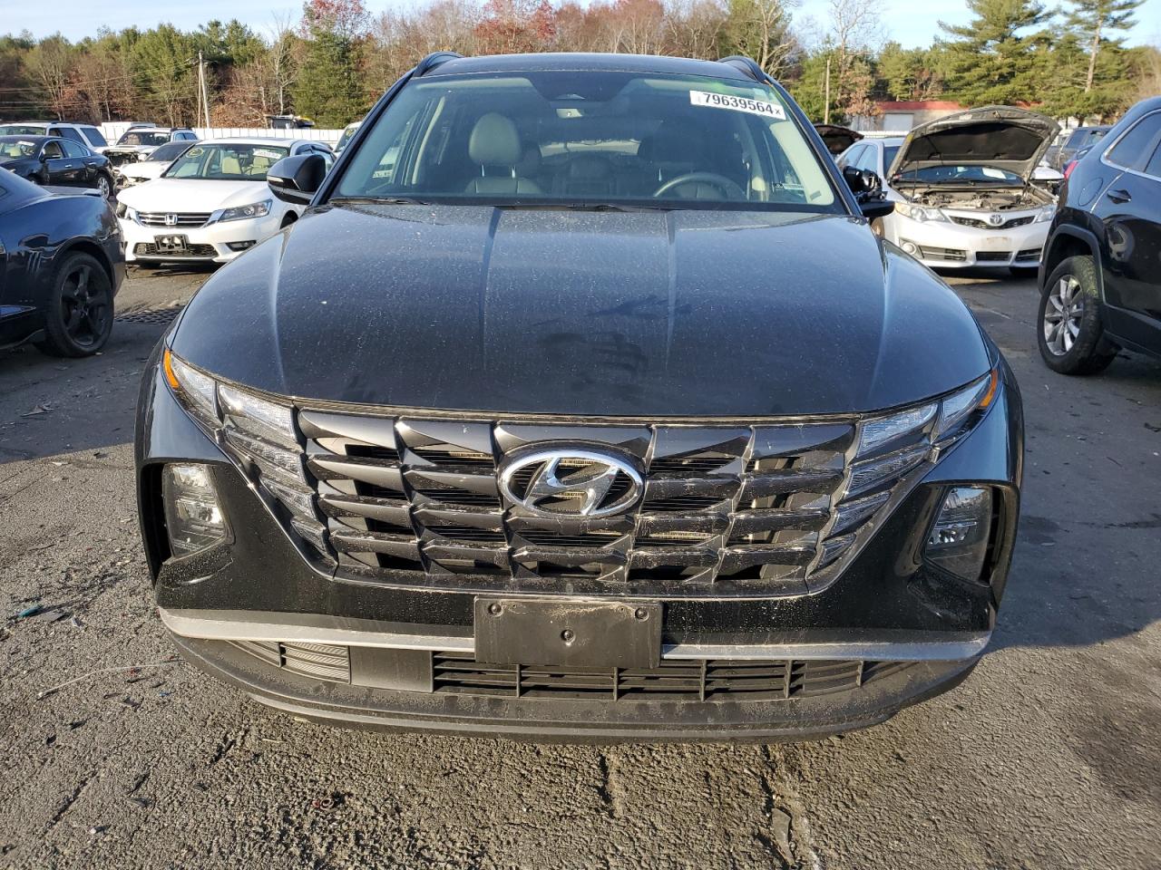 VIN 5NMJFCDEXRH319171 2024 HYUNDAI TUCSON no.5