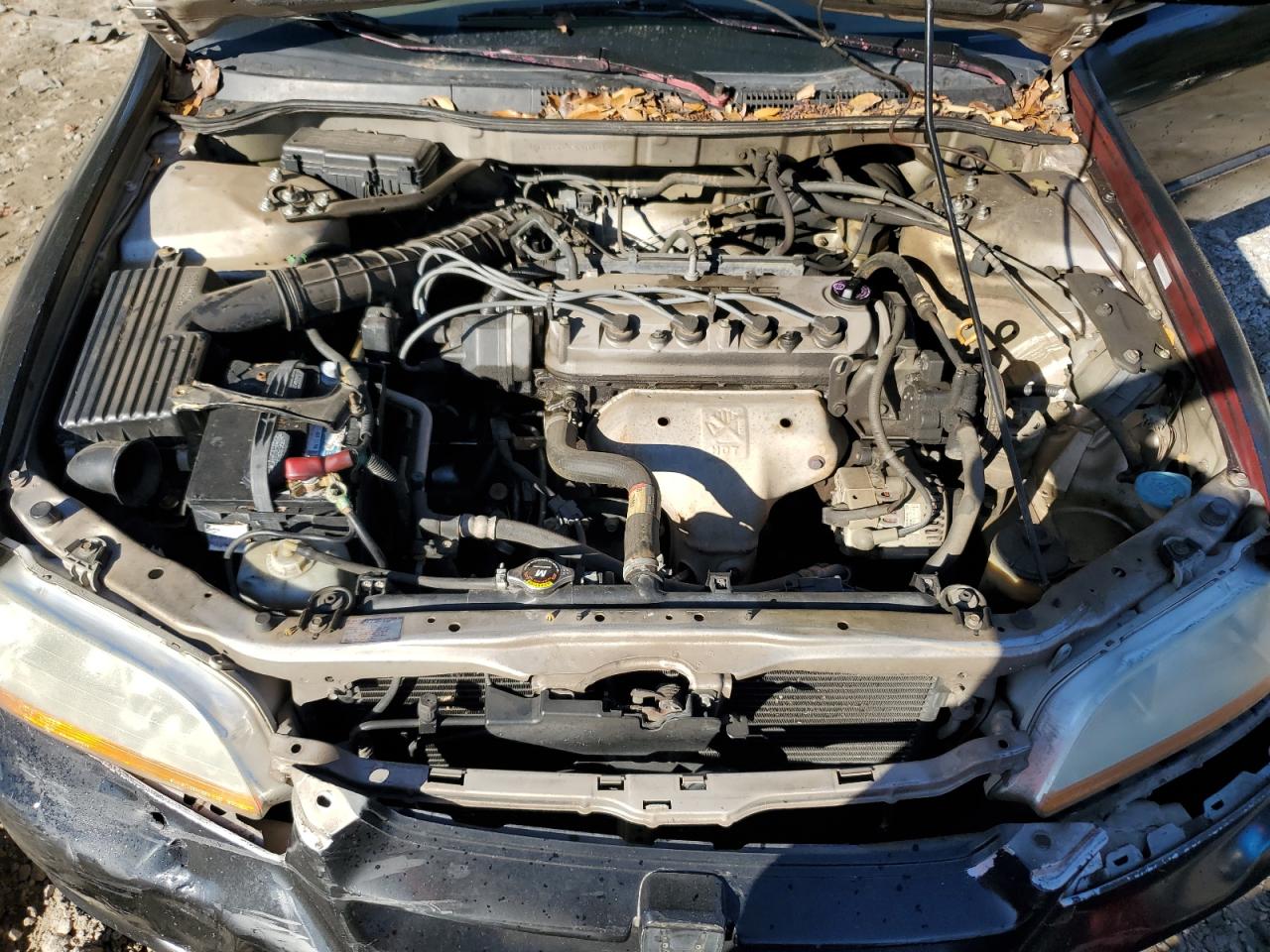 1999 Honda Accord - Image 11