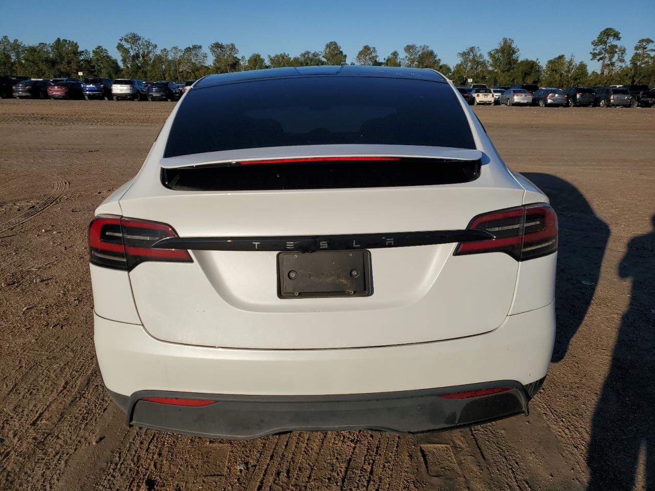 2023 Tesla Model X VIN: 7SAXCAE52PF384748 Lot: 81445034