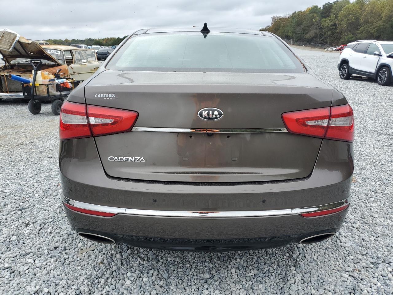 2014 Kia Cadenza Premium VIN: KNALN4D71E5129725 Lot: 79110494