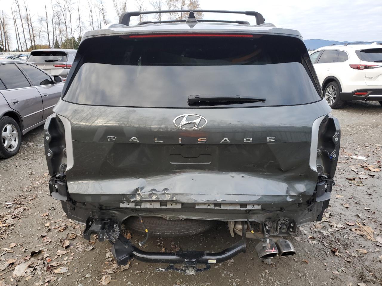 2021 Hyundai Palisade Calligraphy VIN: KM8R7DHE1MU328046 Lot: 79086544