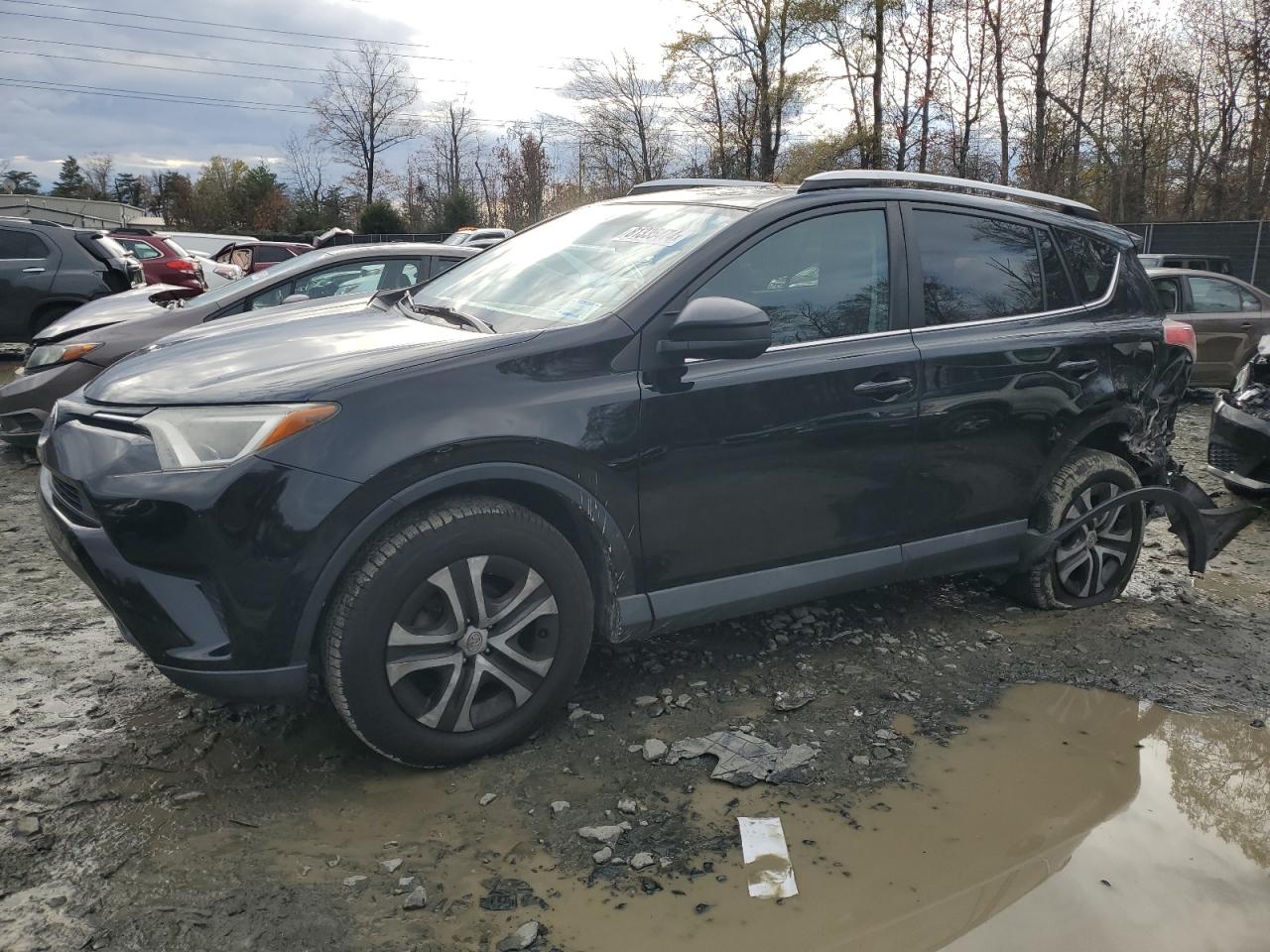 VIN 2T3BFREVXGW507025 2016 TOYOTA RAV4 no.1