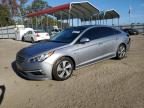 2016 Hyundai Sonata Hybrid на продаже в Harleyville, SC - Rear End