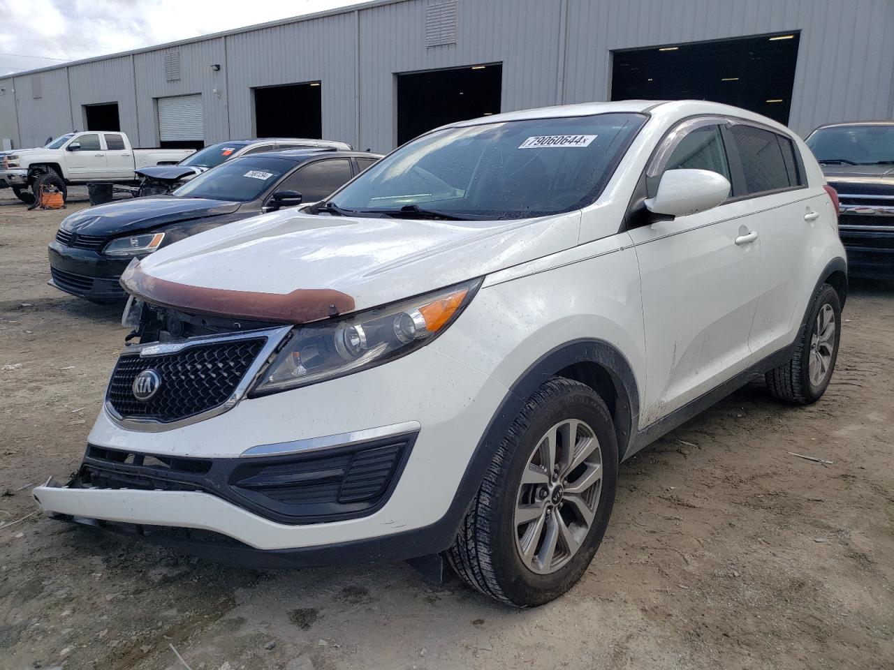 2014 Kia Sportage Base VIN: KNDPB3AC1E7566654 Lot: 79060644